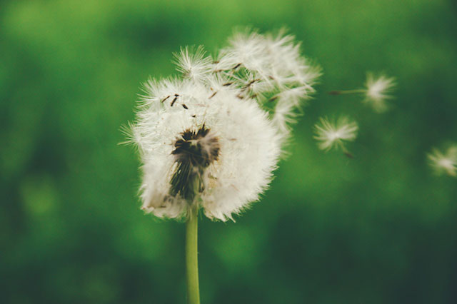 انگیزه های درونی